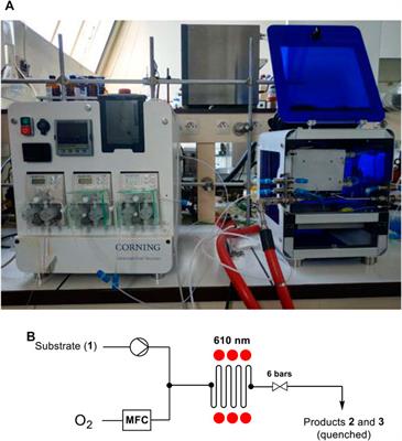 Performances of Homogeneous and Heterogenized Methylene Blue on Silica Under Red Light in Batch and Continuous Flow Photochemical Reactors